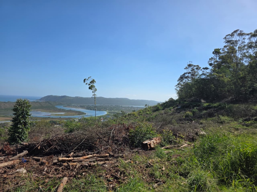 0 Bedroom Property for Sale in Sedgefield Rural Western Cape